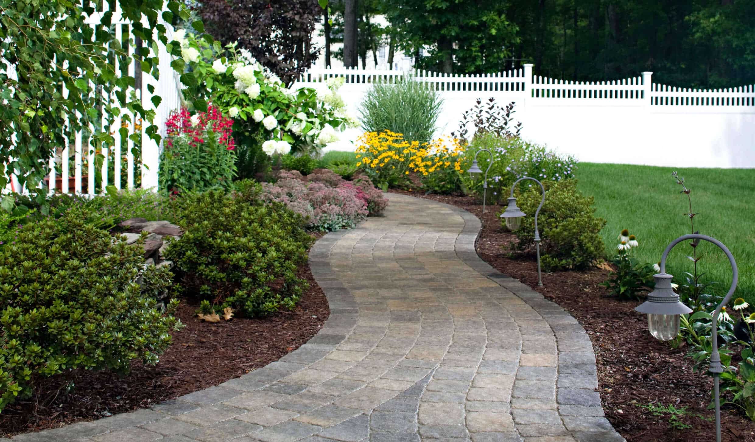 Tranquil garden walkway